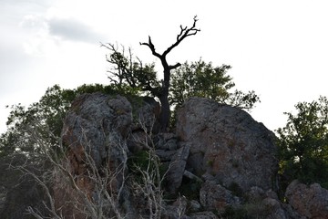 Inks Lake State Park 2019