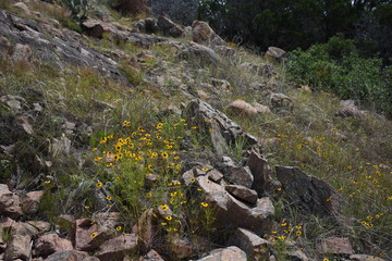 Inks Lake State Park 2019