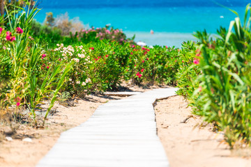 Famous beach in Zakynthos island