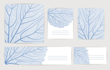 Set backgrounds with blue leaves. Vector illustration