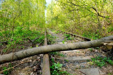 Fototapeta premium Abandoned railway with trees fallen down on rusty rails