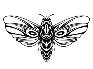 Beautiful butterfly vintage concept