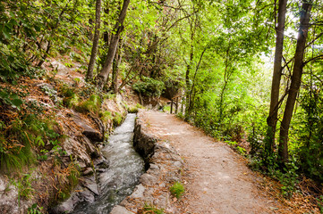 Algund, Waalweg, Wasserversorgung, Wanderweg, Wald, Vinschgau, Südtirol, Sommer, Italien