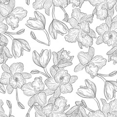 Mooi naadloos patroon met orchideebloemen. Vector illustratie.