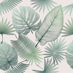 Seamless pattern with tropical leaf palm . Vector illustration.