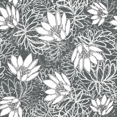 Water Lily Pattern Hand Drawn