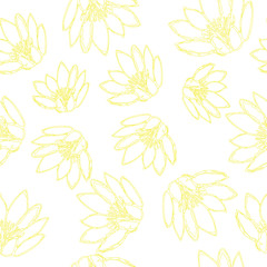 Water Lily Pattern Hand Drawn