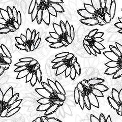 Water Lily Pattern Hand Drawn