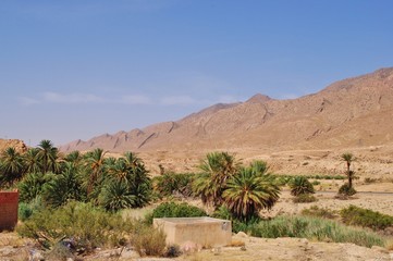 El kantara, Biskra, Sahara, Algerie