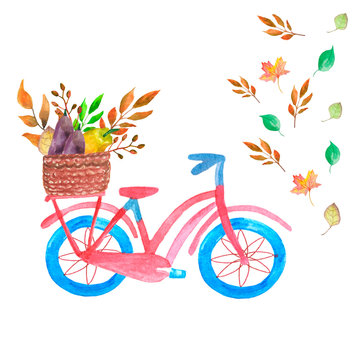 Set of cartoon watercolor bicycle autumn harvest, fallen leaves, basket with vegetables, eggplant, pepper on a white background Hand painted illustration for design kitchen, bio food, menu, healthy