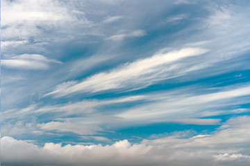 abstract texture of blue sky with feather and soft clouds