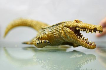 Crocodile model in run action ,selective focus