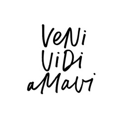 Veni vidi amavi ink pen handwritten lettering. Latin saying, romantic letter vector calligraphy.