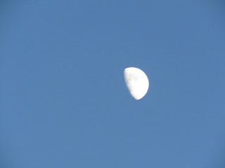 Moon in the day
