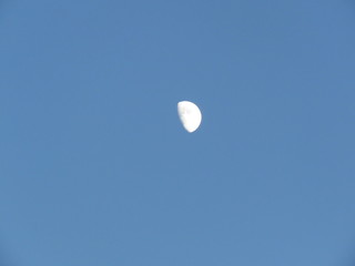 Moon in the day