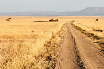 Obraz premium Road in the African savannah.