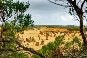 Fototapeta premium Pinnacle National Park in Western Australia