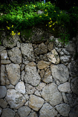Summer wild historical place in he Cyprus