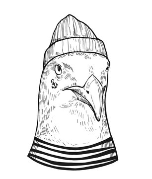 Seagull in a sailor suit. Hand drawn illustration converted to vector. Prints for T-shirts. Tattoo sketch.