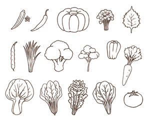 緑黄色野菜01-線画