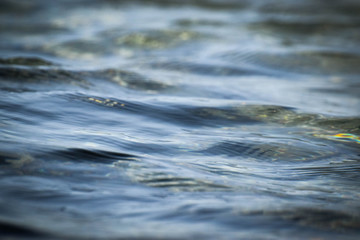 Summer sea blue waves background