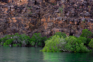 Fototapeta na wymiar low angel view from the King George River in the Kimberleys in Western Australia, showing lush mangroves and dramatic sandstones