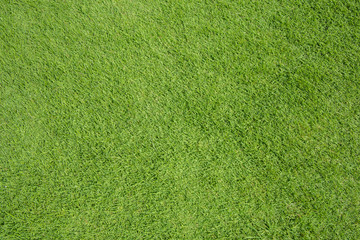 green grass texture background