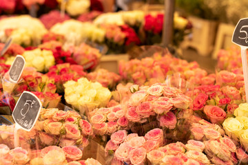 Flower Market in Aix-en-Provence France