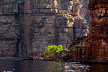 low angel view from the King George River in the Kimberleys in Western Australia, showing lush mangroves and dramatic sandstones