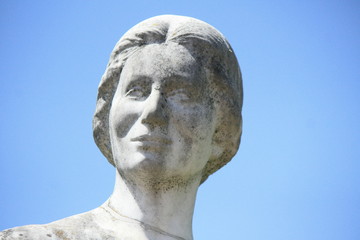 flowers pink green purpuple black white