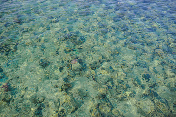view of the clean and clear Red Sea