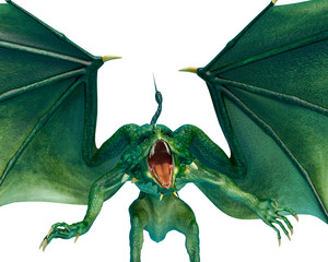 Obraz premium dragon classical pose