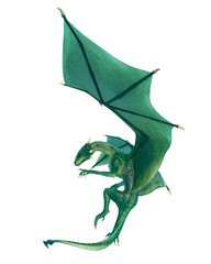 Fototapeta premium dragon floating side view