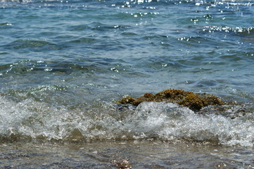 sea