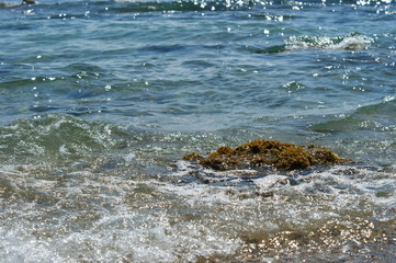 sea