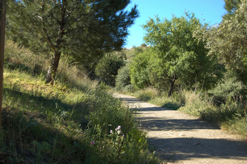 Fototapeta premium trail in the mountains ,Malaga, Spain