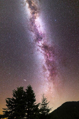 Purple Milky way falling stars pine trees silhouette