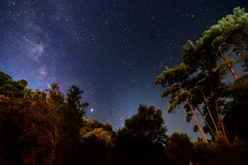 beautiful milky way Night star constellation sky and pines	