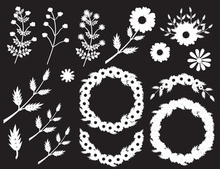 Herbs and wild flowers. Vector  white floral set illustration on isolated black background. Collection with leaves and flowers for invitation, wedding or greeting cards
