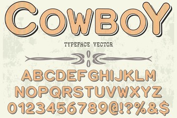  font script typeface vector named vintage