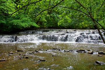 Fototapeta premium waterfall