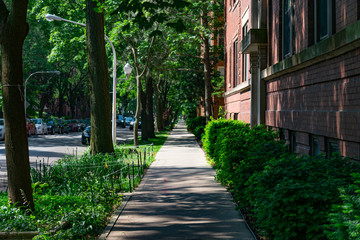 Sidewalk with Residential Buildings in the Edgewater Neighborhood of Chicago