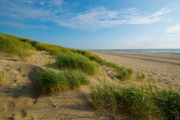 Strand bei Hargen aan Zee in Nordholland