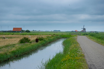 Landschaft bei Camperduin in Nordholland