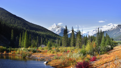 Fototapeta na wymiar Scenic pond landscape along Kananaskis trail in Banff national park