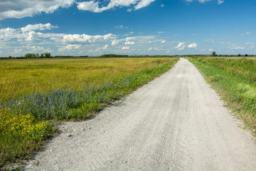 Gravel road through wild meadows, horizon and clouds on a blue sky