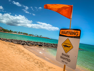 A Sign and Orange Caution Flag Warning of a Shark in the Water at a Beach in Oahu Hawaii - with the Ocean in the Background on a Bright, Sunny Day