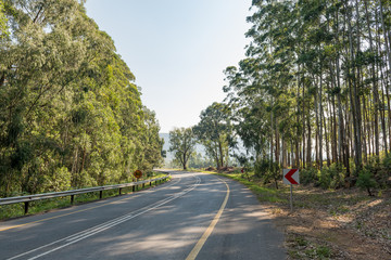 Road landscape on the Bothasnek Pass on road R38