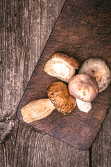Delicious Types of Edible Wild Mushrooms on Wooden Plank Background. Nature and Healthy Food Concept.