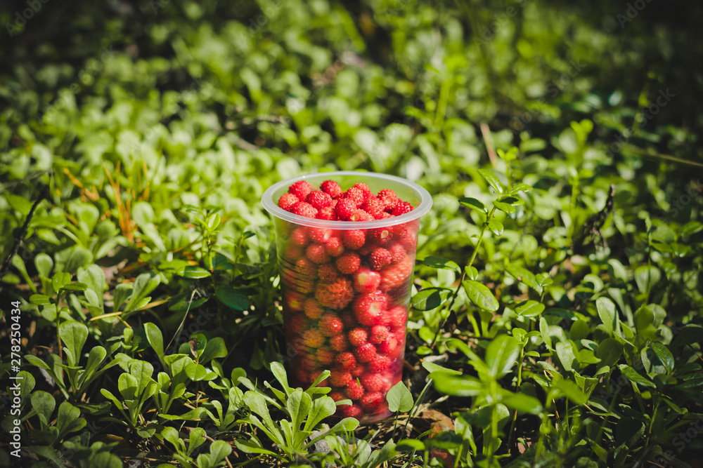 Wall mural Berry strawberry in the glass on the grass background